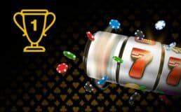 duckdice Regional Tournaments